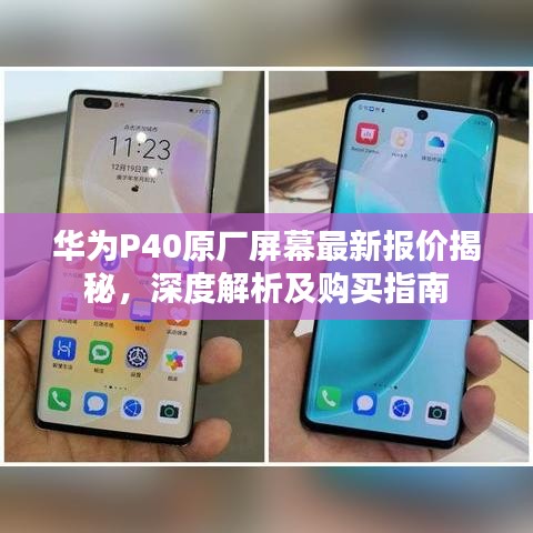 华为P40原厂屏幕最新报价揭秘，深度解析及购买指南