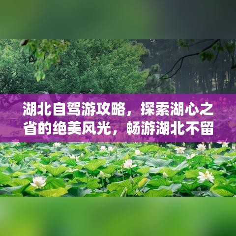 湖北自驾游攻略，探索湖心之省的绝美风光，畅游湖北不留遗憾！