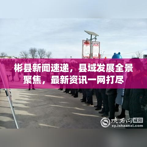 彬县新闻速递，县域发展全景聚焦，最新资讯一网打尽