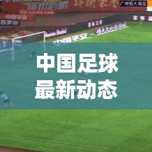 中国足球最新动态，走向未来的希望与挑战并存