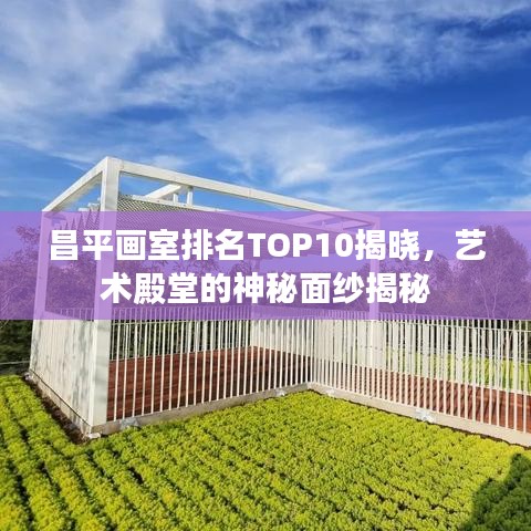 昌平画室排名TOP10揭晓，艺术殿堂的神秘面纱揭秘
