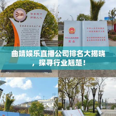曲靖娱乐直播公司排名大揭晓，探寻行业翘楚！