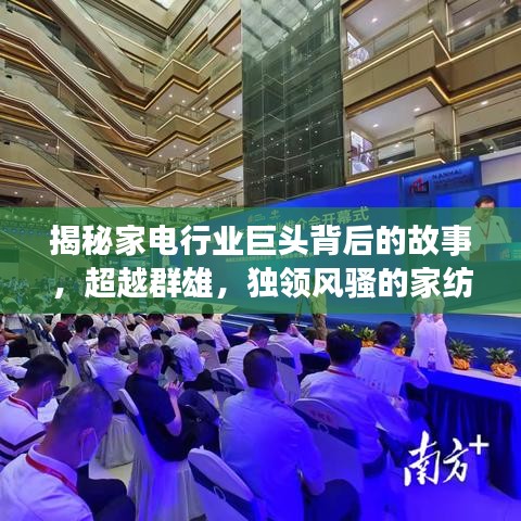 揭秘家电行业巨头背后的故事，超越群雄，独领风骚的家纺传奇之旅