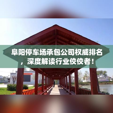 阜阳停车场承包公司权威排名，深度解读行业佼佼者！