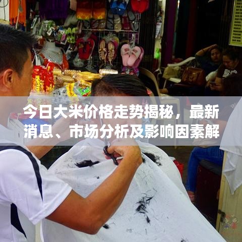 今日大米价格走势揭秘，最新消息、市场分析及影响因素解析