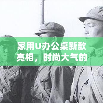 家用U办公桌新款亮相，时尚大气的理想之选（2024最新款）