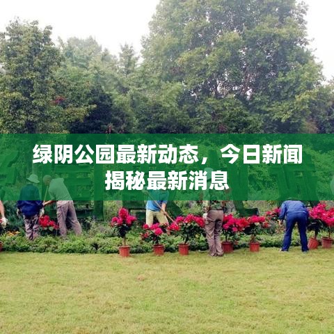 绿阴公园最新动态，今日新闻揭秘最新消息