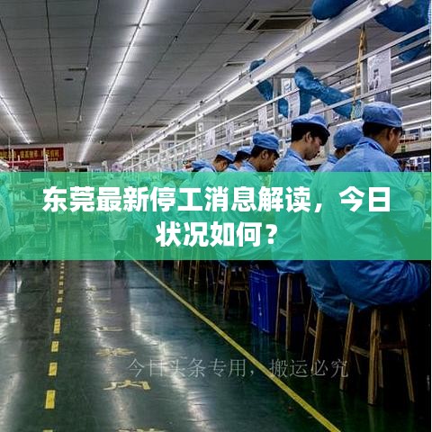 东莞最新停工消息解读，今日状况如何？