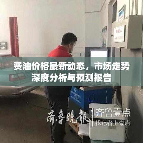 费油价格最新动态，市场走势深度分析与预测报告