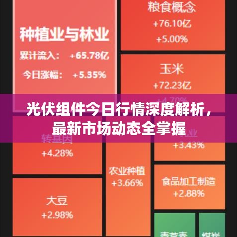 光伏组件今日行情深度解析，最新市场动态全掌握