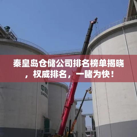秦皇岛仓储公司排名榜单揭晓，权威排名，一睹为快！