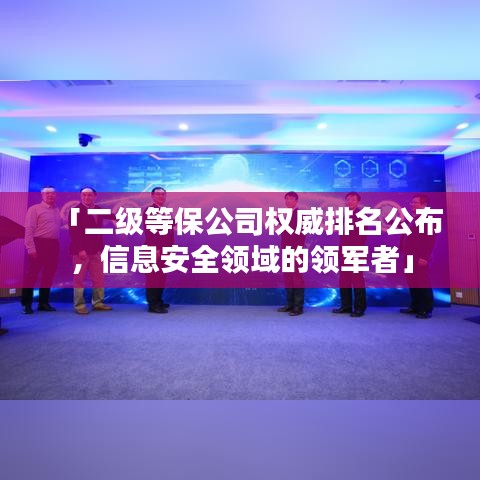 「二级等保公司权威排名公布，信息安全领域的领军者」