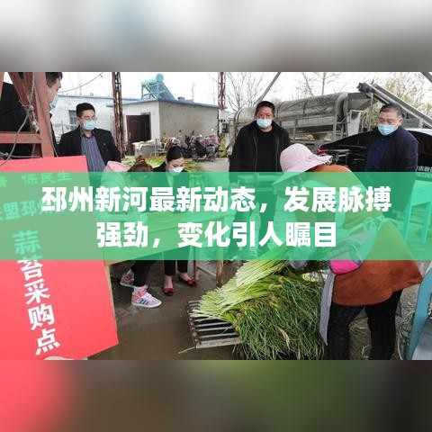 邳州新河最新动态，发展脉搏强劲，变化引人瞩目