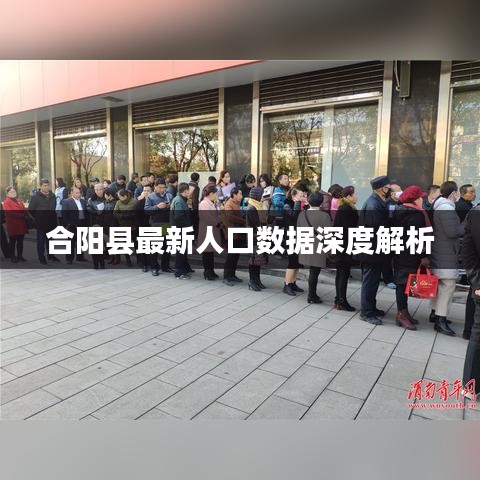 合阳县最新人口数据深度解析