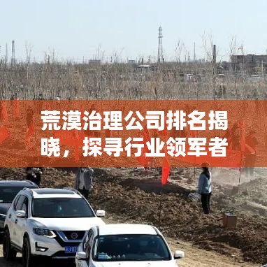 荒漠治理公司排名揭晓，探寻行业领军者，共创绿色家园新篇章