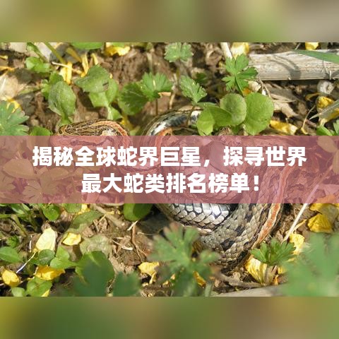 草率收兵