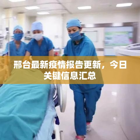 蛙蟆胜负