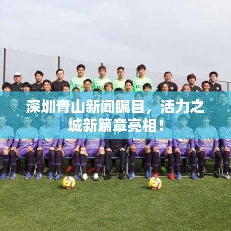深圳青山新闻瞩目，活力之城新篇章亮相！