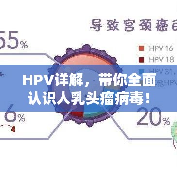 HPV详解，带你全面认识人乳头瘤病毒！
