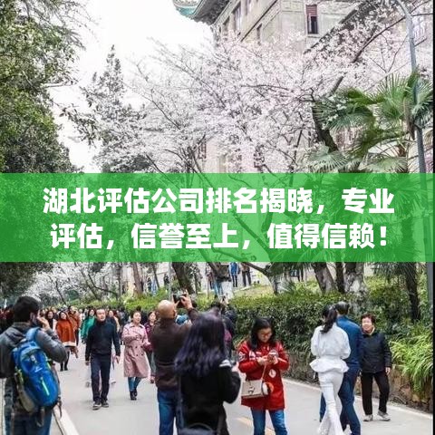 湖北评估公司排名揭晓，专业评估，信誉至上，值得信赖！