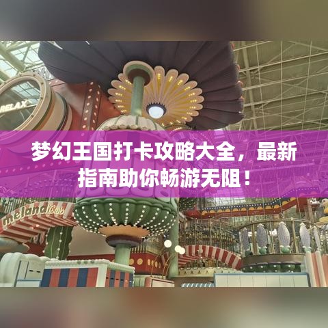 梦幻王国打卡攻略大全，最新指南助你畅游无阻！