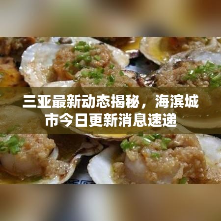 三亚最新动态揭秘，海滨城市今日更新消息速递