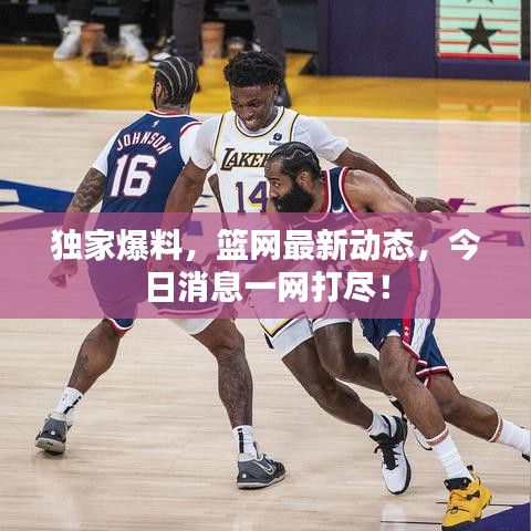 独家爆料，篮网最新动态，今日消息一网打尽！