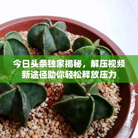 草草收兵