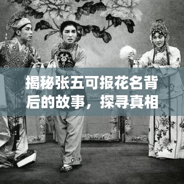 揭秘张五可报花名背后的故事，探寻真相，百度带你一探究竟
