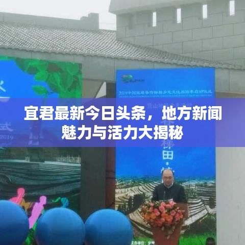 宜君最新今日头条，地方新闻魅力与活力大揭秘