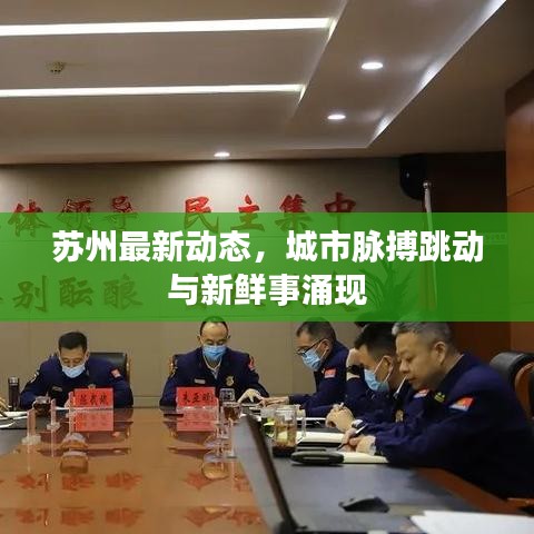 苏州最新动态，城市脉搏跳动与新鲜事涌现