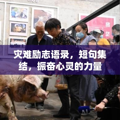 灾难励志语录，短句集结，振奋心灵的力量