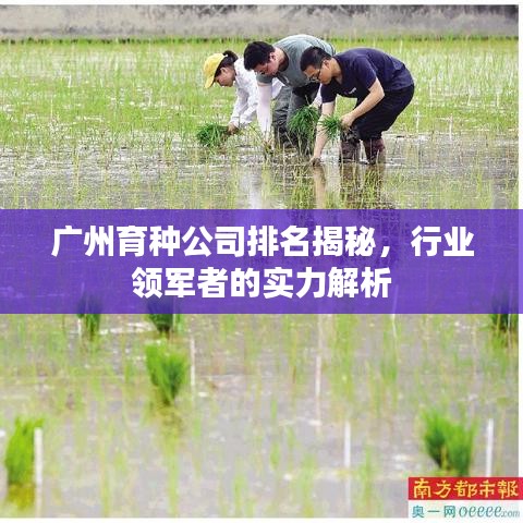 广州育种公司排名揭秘，行业领军者的实力解析