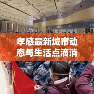 孝感最新城市动态与生活点滴消息更新
