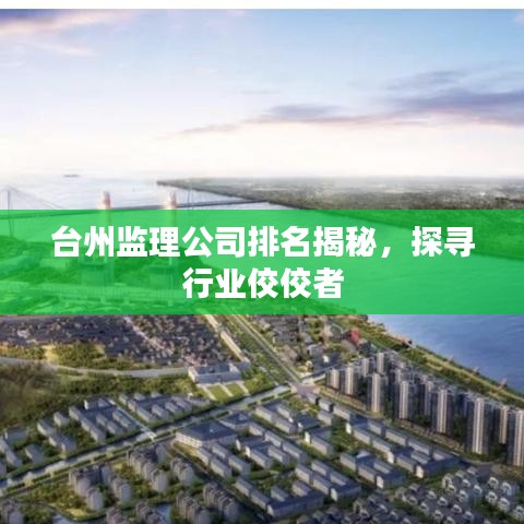 台州监理公司排名揭秘，探寻行业佼佼者