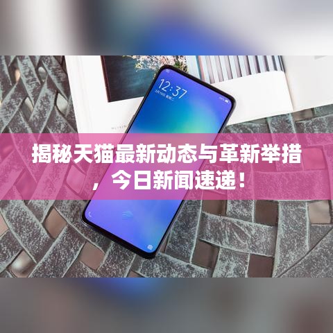 揭秘天猫最新动态与革新举措，今日新闻速递！