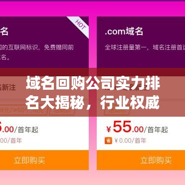 域名回购公司实力排名大揭秘，行业权威榜单重磅出炉！