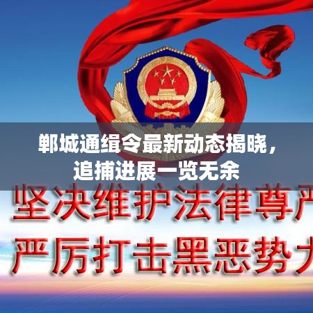 郸城通缉令最新动态揭晓，追捕进展一览无余