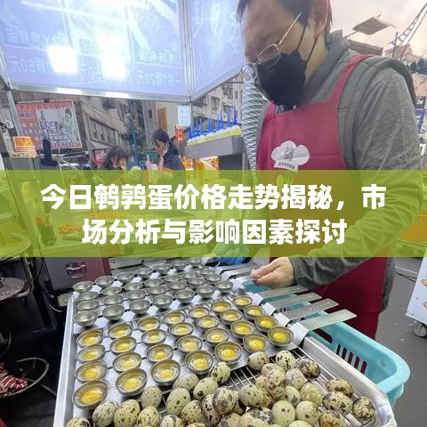 今日鹌鹑蛋价格走势揭秘，市场分析与影响因素探讨