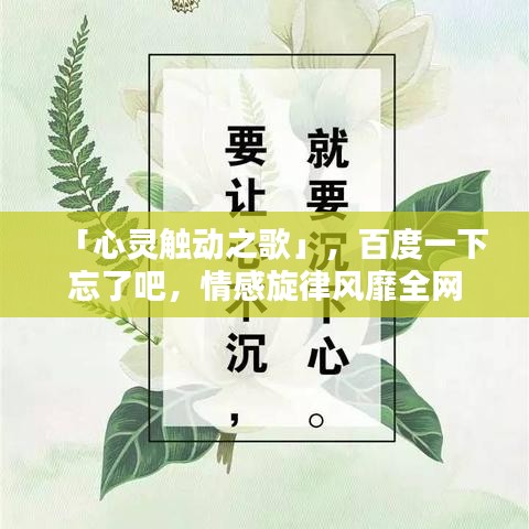 「心灵触动之歌」，百度一下忘了吧，情感旋律风靡全网