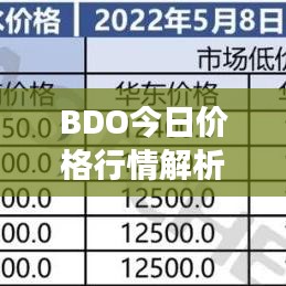 BDO今日价格行情解析，市场走势深度分析与趋势预测