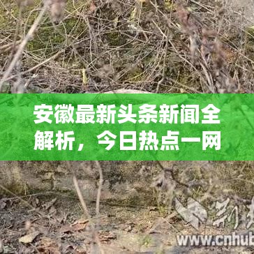 安徽最新头条新闻全解析，今日热点一网打尽