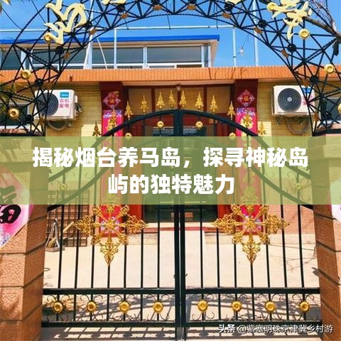 揭秘烟台养马岛，探寻神秘岛屿的独特魅力