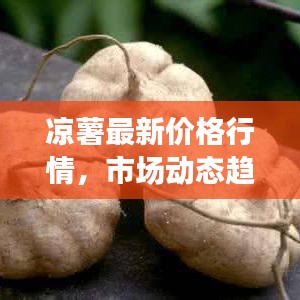凉薯最新价格行情，市场动态趋势揭秘！