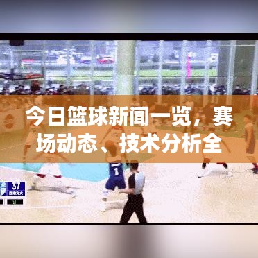 今日篮球新闻一览，赛场动态、技术分析全记录
