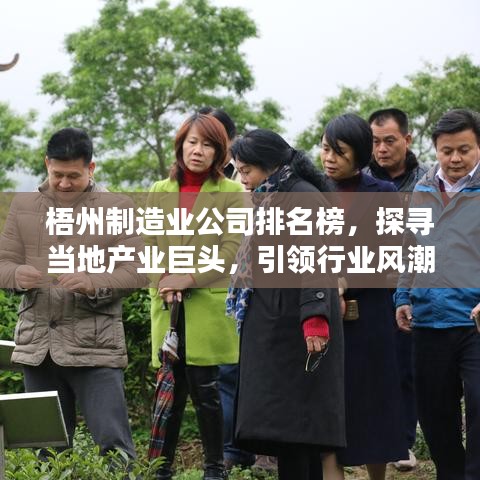 梧州制造业公司排名榜，探寻当地产业巨头，引领行业风潮！