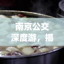 南京公交深度游，揭秘南京公交48路之旅