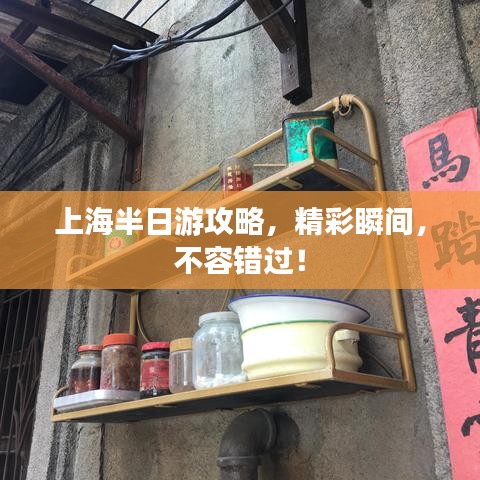 上海半日游攻略，精彩瞬间，不容错过！