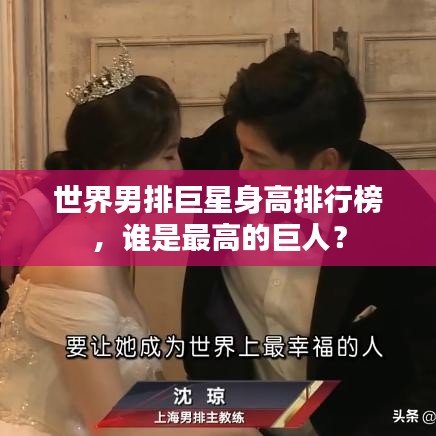世界男排巨星身高排行榜，谁是最高的巨人？