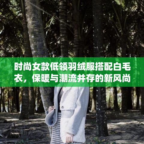 时尚女款低领羽绒服搭配白毛衣，保暖与潮流并存的新风尚